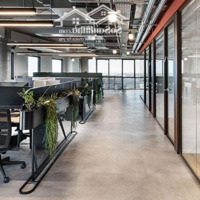 Siêu Rẻ: Bán Toà Nhà Tô Hiến Thành, Q. 10. Dt: 10X13M. Nh: 15M. Giá: 1X Tỷ Tl