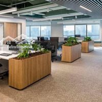 Siêu Rẻ: Bán Toà Nhà Tô Hiến Thành, Q. 10. Dt: 10X13M. Nh: 15M. Giá: 1X Tỷ Tl