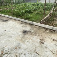 Bán Đất Siêu Hot Tại Xã Tiên Dược, Sóc Sơn, Hà Nội, 1,7 Tỷ, 65M2