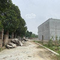 Bán Đất Siêu Hot Tại Xã Tiên Dược, Sóc Sơn, Hà Nội, 1,7 Tỷ, 65M2
