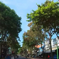Cần Cho Thuê Nhà Mặt Tiền (Chỉ Cho Thuê Tầng Trệt), Miễn Trung Gian Tại Đường Lê Lợi, Phường 4, Vt