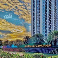 Bán Nhà Phố 144M2 Vinhomes Quận 9 Với 5 Tầng Giá Chỉ 22,8 Tỷ