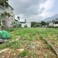 Bán Lô Đất 175M Hoa Hậu Tại Cố Đụng, Tiến Xuân, Thạch Thất, Hn