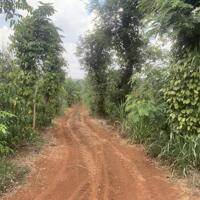 Chủ ngộp cần bán lô đất 1.3HA xã Ea D’rơng, huyện Cưm’gar, Tỉnh Đắk lắk