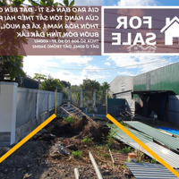 Thôn Hòa Nam 1, Đường Nguyễn Viết Xuân, Buôn Đôn 400M2 60 M2 Đất Ở, 340 M2 Đất Trồng