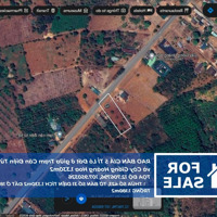 Bán Đất Đẹp Tại Xã Ea Nuôl, Buôn Đôn, Đắk Lắk, 5 Tỷ, 1330 M2