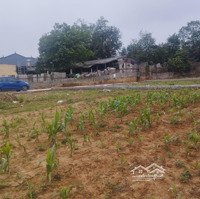 Chính Chủ Bán Mảnh Đất 1048M2 Đất Thôn Thủ Trung, Thanh Mỹ, Sơn Tây 5,5 Tỷ