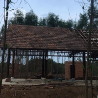 Chính Chủ Bán 5X20M Phước Bình, Long Thành Đường Oto Nhà Nước , Xây Dựng Ngay
