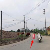ĐẤT ĐẤU GIÁ, chỉ 48.xtriệu/m², 2 OTO, VỈA HÈ, BÁN ĐẤT KIM AN0977690119 (Mr.Sinh hado) 