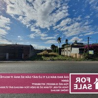 Lô Đất Gần Số Nhà 17 Nguyễn Thị Định Ea Nuôl, Buôn Đôn, Đắk Lắk, Giá Bán 4,5 Tỷ, 460,5M2