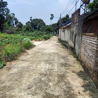 Chính Chủ Bán Lô Đất Đẹp Giá Rẻ Tại Hòa Thạch Quốc Oai Hn.chỉ 12 Triệuiệu/ M!