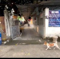 Bán 1,172M2 Đất Full Thổ Cư, Hxt, Tặng Nhà C4+ Dãy Nhà Trọ Thu Nhập 25 Triệu/Tháng, 53.X Tỷ