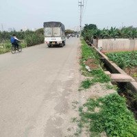 Chính Chủ Bán Lô Đất Đẹp Tại Yên Nghĩa Hà Đông Diện Tích 212M Đất Trồng Cây Hàng Năm Giá Bán 1.2 Tỷ