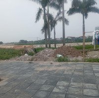 Chính Chủ Cần Tiền Gửi Bán Gấp Mảnh Đất Đẹp Xã Tàm Xá. Đông Anh. Hà Nội