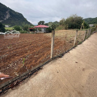 999 Triệu, Chủ Cắt Bán 1000M Full Thổ Cư. Lô Đất 3 Mặt Tiền Đồng Trong _Hợp Phong _Cao Phong _Hb