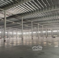 Kho Xưởng Kcn Hòa Xá. Mới 100%, 3000M2 Đến 25.000M2, Pccc, Fdi/Epe, Miễn Thuế, Dock Cont, 55K/Th/M2