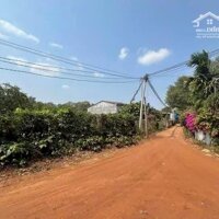 KẸT TIỀN BÁN GẤP ĐẤT THÔN 9- HOÀ PHÚ- BMT  CHỈ VỚI GIÁ #79tr MỘT MÉT  ️Diện tích: 7*35 thổ cư 60m2  Giá chỉ: #79tr/m tr(