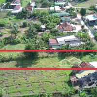 Bán Đất Tại Thôn Tân Hiệp, Chỉ 650 Triệu Sở Hữu Ngay Lô Đất 670.1M2, Ngang 10M, Vị Trí Đẹp