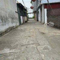 Bán Đất 50M2 Tại Xã Đại Áng, 4,6 Tỷ, Thanh Trì, Hà Nội, Ô Tô Vào Đất
