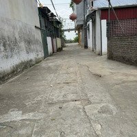 Bán Đất 50M2 Tại Xã Đại Áng, 4,6 Tỷ, Thanh Trì, Hà Nội, Ô Tô Vào Đất