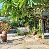 Cho Thuê Hoặc (Hợp Tác) Kinh Doanh Nhà Hàng Tiệc Cưới Sân Vườn Tại Quận 9, Thủ Đức