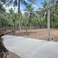 Chính chủ bán đất Tân Thông 4 Thanh Tân Mỏ Cày Bắc Bến Tre