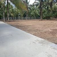 Chính chủ bán đất Tân Thông 4 Thanh Tân Mỏ Cày Bắc Bến Tre