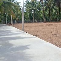 Chính chủ bán đất Tân Thông 4 Thanh Tân Mỏ Cày Bắc Bến Tre