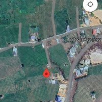 Cần Bán Nhanh Đất Nền Cây Lâu Năm Gần Chợ Thuận Quý, Cách Biển Hơn 2Km