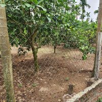 Bán Đất 700M2 Tại Phúc Hòa, Phúc Thọ, Hà Nội, Giá Bán 850 Triệu, View Đẹp