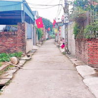 Bán Lô Góc Đẹp Đông Lai, Quang Tiến, Sóc Sơn, Giá Nhỉnh 1, Xx Tỷ