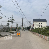 Bán 80M Đất Tái Định Cư Ngọc Động, Cạnh Vinsafari Giá Tốt Để Đầu Tư Tháng 5/2025