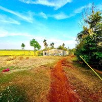 Đất Nền Giá Rẻ View Cánh Đồng Xã Eaktur Chỉ 199 Triệu
