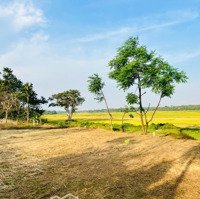Đất Nền Giá Rẻ View Cánh Đồng Xã Eaktur Chỉ 199 Triệu