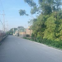 Cần Bán Mảnh Đất Ngõ Ôtô Vào Cạnh Bên Ecompas Sổ Đỏ, 63M2