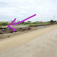 Cần Bán Gấp Đất Đẹp , 825 Triệu , Shr , Phước Hưng , Trường Bình , Cần Giuộc , Long An , Gần Chợ