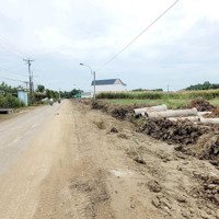 Cần Bán Gấp Đất Đẹp , 825 Triệu , Shr , Phước Hưng , Trường Bình , Cần Giuộc , Long An , Gần Chợ