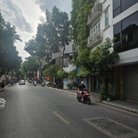 Bán Nhà Mặt Phố Bưởi, Quận Ba Đình 1300M2, 3 Tầng, Mặt Tiền 12M, Giá Bán 425 Tỷ. Thổ Cư 100%