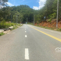 Đất Liên Kế Kqh Vạn Xuân, Lạc Dương, Đường Nhựa Ô Tô, View Rừng Thông. Giá Bán 4.3 Tỷ