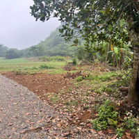 Bán 1,3Ha Đất Tại Kim Bôi, Hoà Bình Giá Rẻ