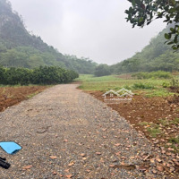 Bán 1,3Ha Đất Tại Kim Bôi, Hoà Bình Giá Rẻ