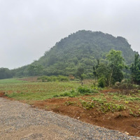 Bán 1,3Ha Đất Tại Kim Bôi, Hoà Bình Giá Rẻ