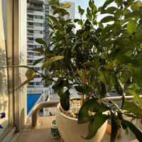 Mỹ Khánh 4 Giá 7T600, Diện Tích 113M2 . Nhà Full Nội Thất .Lainguyen: 0903892769