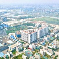 Thi Công Ngày Đêm Quyết Tâm Về Đích Đúng Hẹn!
Dự Án Trung Tâm Thị Xã Mỹ Hào Tăng Tốc Về Đích