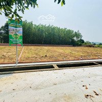 Cơ Hội Vàng Đầu Tư Bđs View Sông - Tại Nam Phước, Diện Tích Đa Dạng, Giá Chỉ Từ 400 Triệu / Lô