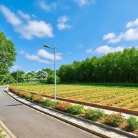 Cơ Hội Vàng Đầu Tư Bđs View Sông - Tại Nam Phước, Diện Tích Đa Dạng, Giá Chỉ Từ 400 Triệu / Lô