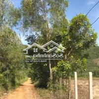 Bán Lô Đất Diện Tích Lớn, Khu Vực Xã Phước Đồng, Tp. Nha Trang. Bên Cạnh Trường Lái Hồng Bàng