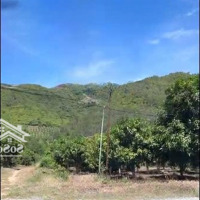 Bán Lô Đất Diện Tích Lớn, Khu Vực Xã Phước Đồng, Tp. Nha Trang. Bên Cạnh Trường Lái Hồng Bàng