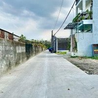 Bán Đất 155M2 Tại Trần Thị Bốc, Thới Tam Thôn, Hóc Môn, Giá Mềm 730 Triệu. Bao Giấy, Xây Dựng Tự Do