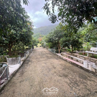 Chỉ 1,8 Triệu/M² - Sở Hữu Ngay 3.000M² Nhà Vườn Xinh Đẹp Thiên Nhiên Trong Tầm Tay